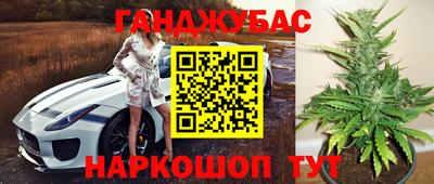 Альфа ПВП Кингисепп
